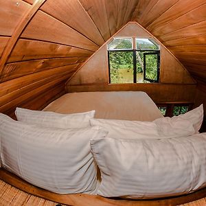 Tree House River View